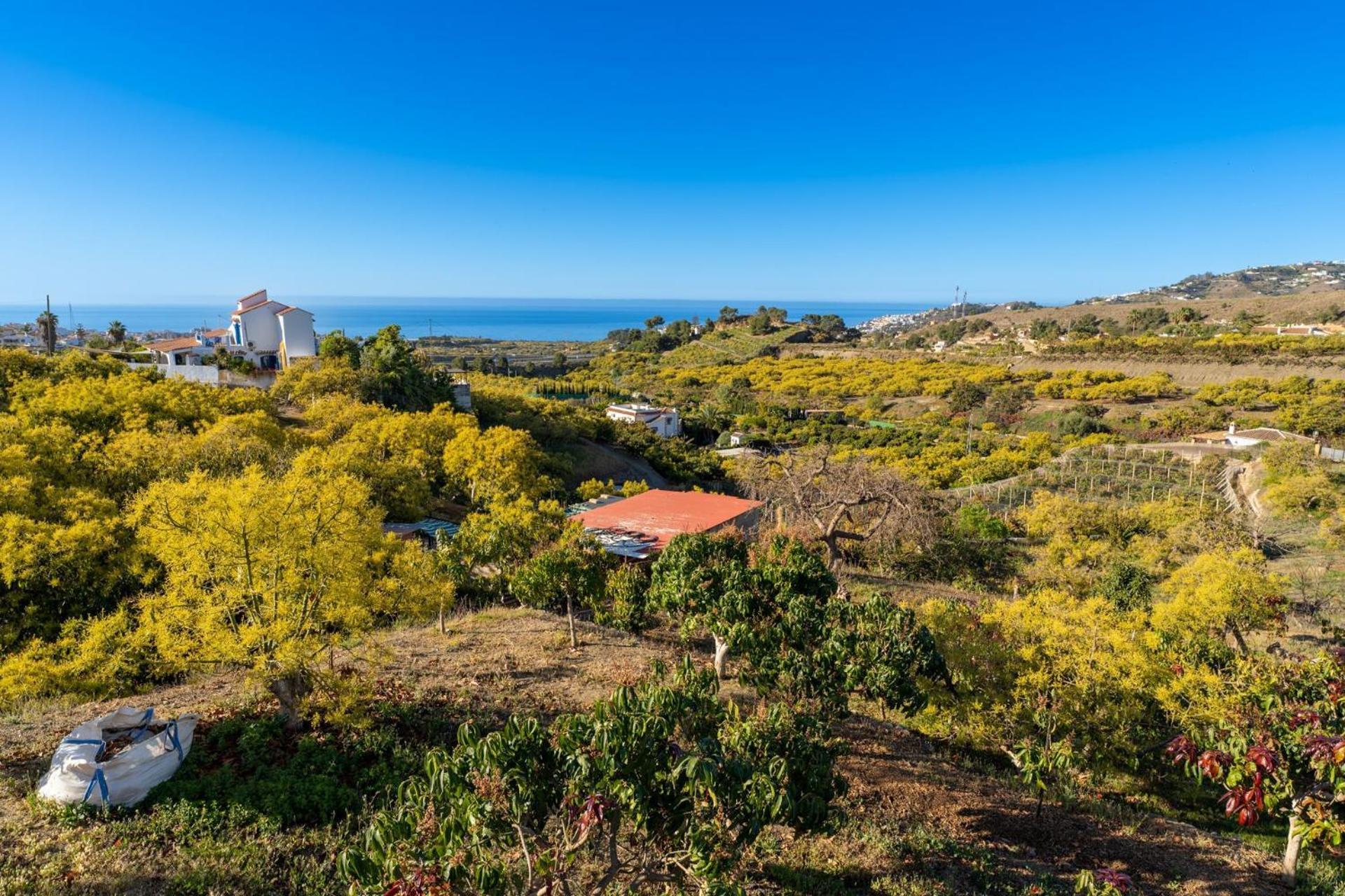Casa Herrero ネルハ エクステリア 写真